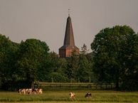 Het Grasland, 6971 NB Brummen