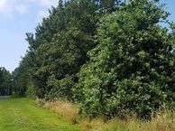 De Weel, 1777 MZ Hippolytushoef