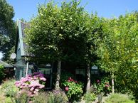 Lotweg 11, 1761 JE Anna Paulowna