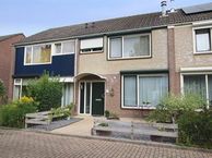 Irisstraat 116, 4542 EJ Hoek