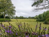 Potgieterlaan 23, 9752 EW Haren (GR)