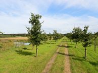 Kanaal N.Z. 4 A, 9414 TL Hooghalen