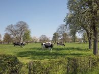 Kapelkesstraat kavel 3, 6245 AH Eijsden