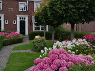 Markt 46, 4351 AH Veere