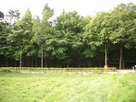 Loenenseweg 118, 6961 HL Eerbeek