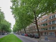 Dordtselaan, 3073 GL Rotterdam