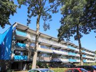 Bramzeilhof 114, 1034 LK Amsterdam