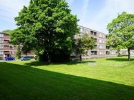 Wilbertoord, 3079 JX Rotterdam