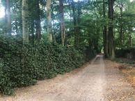 Steenbergen, 1251 CL Laren (NH)