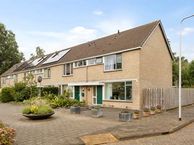 Krammer 2, 2401 DJ Alphen aan den Rijn