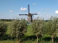 Molenweg 10, 1911 BS Uitgeest