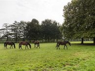 Heldamweg 8, 3481 GX Harmelen