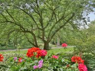 Groetstraat 51, 1024 TX Amsterdam