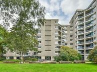 Gouden Leeuw 528, 1103 KM Amsterdam