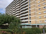 Veenoord 312, 3079 NM Rotterdam