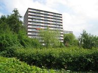 Aalscholversingel 548, 6883 BX Velp (GE)