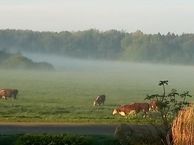 Oud Emmeloorderweg 21 A, 8308 PJ Nagele