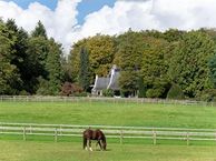 van Borsselenweg 31, 6862 BH Oosterbeek
