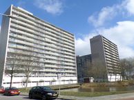 Tjaarda 98, 9202 KP Drachten