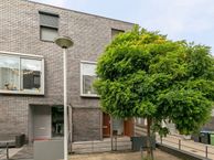 Trompetnarcis 6, 3353 XB Papendrecht