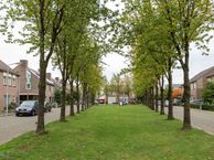 Zalm 29, 5345 DE Oss