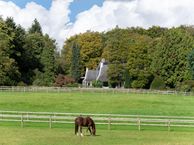 van Borsselenweg 31, 6862 BH Oosterbeek