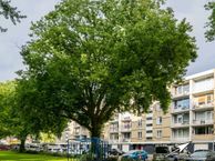 Bosseplaat 131, 3181 ZC Rozenburg (ZH)