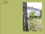 Bouwnummer (Bouwnr. 3), 9681 CC Midwolda