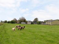 Ljouwertertrekwei 38, 9035 ED Dronryp