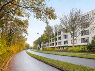 Veenbes 17, 2318 BC Leiden