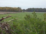 Respersweg, 7955 PW IJhorst