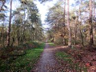 Eikendreef 13, 5571 AL Bergeijk