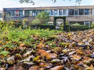 Sloep 59, 9732 CC Groningen