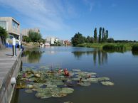 Spijksterriet 13, 9746 PH Groningen