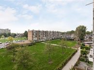 Menno ter Braakstraat, 3076 EG Rotterdam