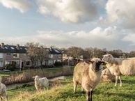 Martin Luther Kingstraat 64, 3274 CL Heinenoord