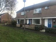 Deining 18, 1276 GT Huizen