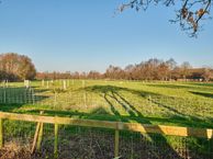 Tolberterstraat 60, 9351 BJ Leek