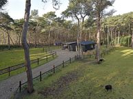 Biltseweg 19 a, 3735 MA Bosch en Duin