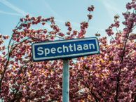 Spechtlaan 377, 2261 BK Leidschendam