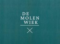 Molenweg, 3271 AM Mijnsheerenland