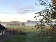 Ollandseweg 179, 5491 XB Sint-Oedenrode