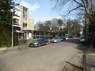 Baarnseweg 105, 3734 CB Den Dolder