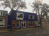 Steynlaan 58, 3701 EH Zeist