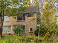 Berkenhove 21, 2295 RH Kwintsheul