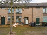 Das 19, 3225 RB Hellevoetsluis