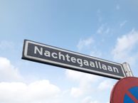 Nachtegaallaan 57, 5348 GN Oss