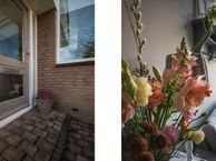 Ranonkelstraat 8, 2971 BP Bleskensgraaf ca