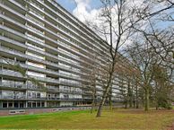 Laan van Vollenhove 2491, 3706 HJ Zeist