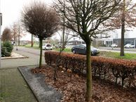 Spaarnwoudelaan 76, 5035 HW Tilburg